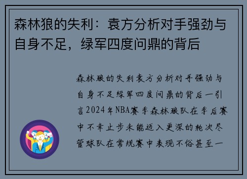 森林狼的失利：袁方分析对手强劲与自身不足，绿军四度问鼎的背后