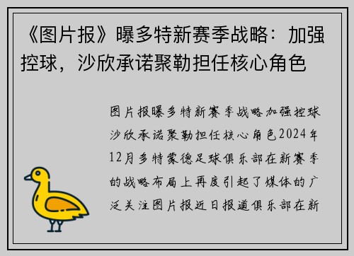 《图片报》曝多特新赛季战略：加强控球，沙欣承诺聚勒担任核心角色