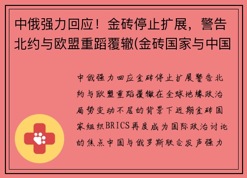 中俄强力回应！金砖停止扩展，警告北约与欧盟重蹈覆辙(金砖国家与中国接壤)